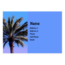 tropical palm tree business card templates