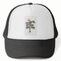 tropical palm tree collection - drawing V hats