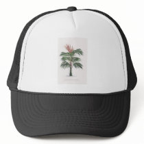 tropical palm tree collection - drawing V hats