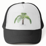 tropical palm tree collection - drawing VI