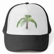 tropical palm tree collection - drawing VI hats