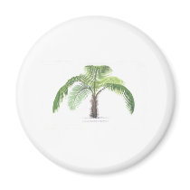 tropical palm tree collection - drawing VI magnets by palmimages tropical palm tree collection - drawing VI magnets