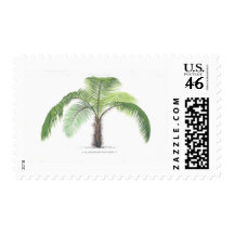 tropical palm tree collection - drawing VI Postage