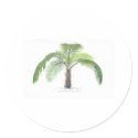 tropical palm tree collection - drawing VI stickers