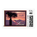 Tropical Palm Tree Love Tropical Palm Tree Love