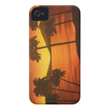 Tropical Palm Tree Sunset iPhone 4 Cover