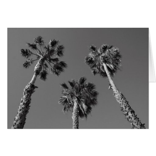 Tropical Palm Trees Greeting Card,Note Card