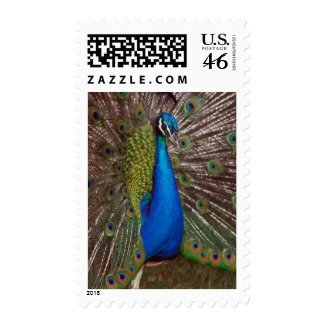 Tropical Paradise 001 stamp
