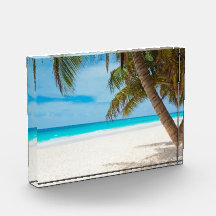 Tropical Paradise Beach Award