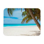 Tropical Paradise Beach Flexible Magnets