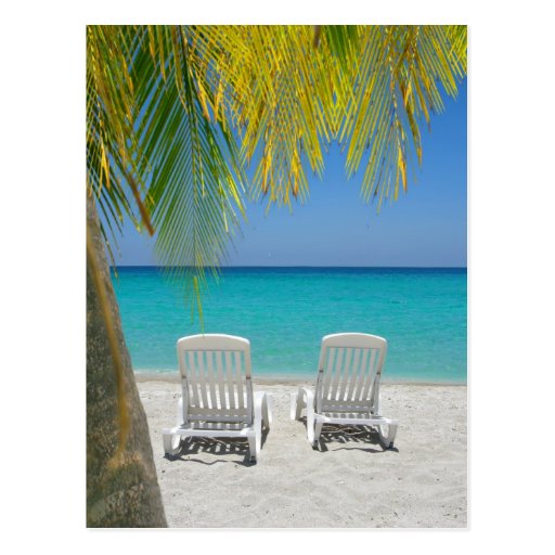 Tropical paradise beach in the Caribbean Postcard | Zazzle