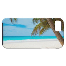 Tropical Paradise Beach iPhone 5 Covers