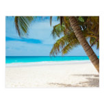 beach, sea, ocean, tropical, coast, photo, nature,