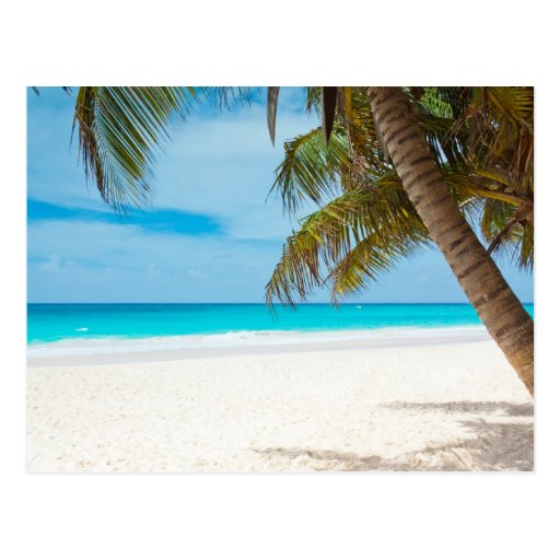 Tropical Paradise Beach Postcard Zazzle