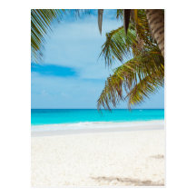 Tropical Paradise Beach Postcard