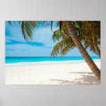 Tropical Paradise Beach Posters