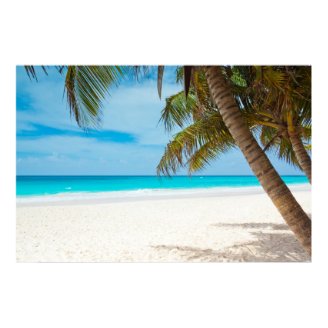 Tropical Paradise Beach Posters