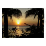 Tropical Paradise Greeting Cards