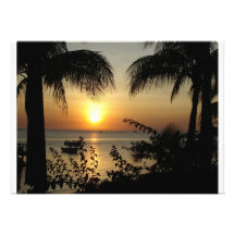 Tropical Paradise Invitation