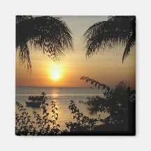 Tropical Paradise Magnets