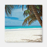 Tropical Paradise Magnets