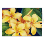 Tropical Paradise Plumeria Cards