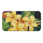Tropical Paradise Plumeria iPhone 4 Cases