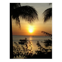 Tropical Paradise Post Card