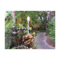 Tropical Paradise postcards by DSgonesouth Tropical Paradise postcards