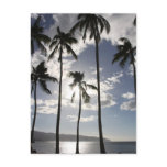 Tropical Paradise Post Card