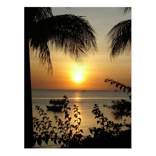 Tropical Paradise Postcard Zazzle
