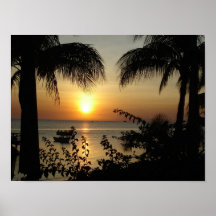 Tropical Paradise Poster