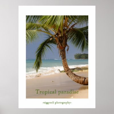 tropical paradise poster print
