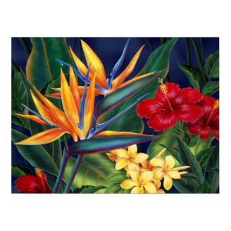 Tropical Paradise Posters