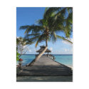 Tropical paradise - Today's Best December 12, 2007 postcards by PhotoDigital Tropical paradise - Today's Best December 12, 2007 postcards