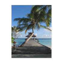 Tropical paradise - Today's Best December 12, 2007 postcards by PhotoDigital Tropical paradise - Today's Best December 12, 2007 postcards