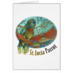 Tropical Parrot of St Lucia Cards