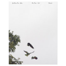 Tropical Parrots Personalized Letterhead