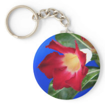 Tropical Passion keychains