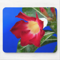 Tropical Passion mousepads by Heartworks Tropical Passion mousepads