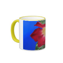 Tropical Passion mugs