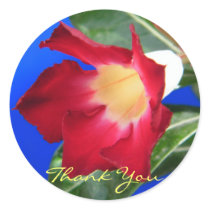 Tropical Passion - Thank You stickers