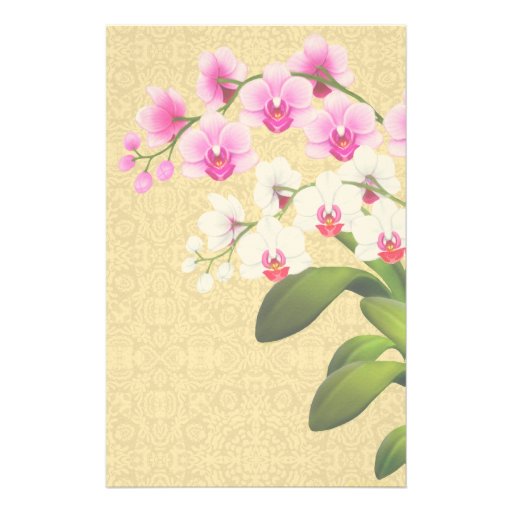Tropical Phalaenopsis Orchid Flowers Stationery Zazzle