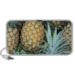 Tropical Pineapples "Doodle Speaker"