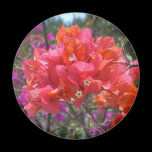 Tropical Pink Bougainvillea Magnet
