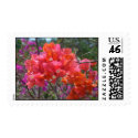 Tropical Pink Bougainvillea Stamp
