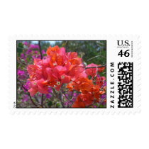 Tropical Pink Bougainvillea Stamp