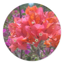 Tropical Pink Bougainvillea Sticker