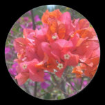 Tropical Pink Bougainvillea Sticker