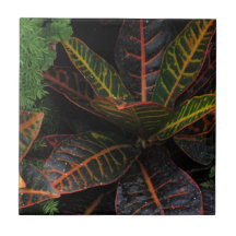 Tropical Plants Tile